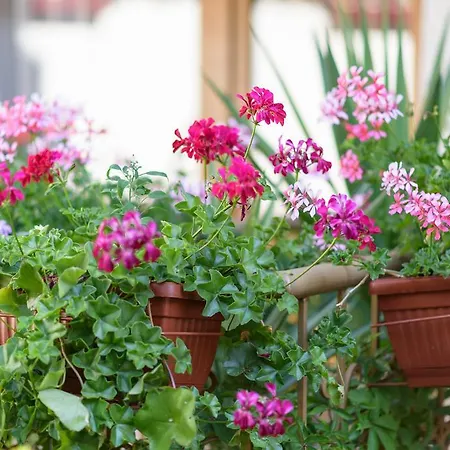 Kirios Готель 3*