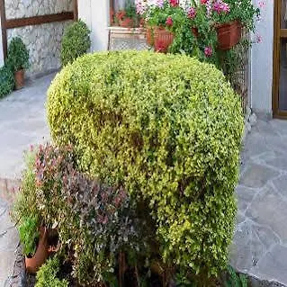 Hotel Kirios