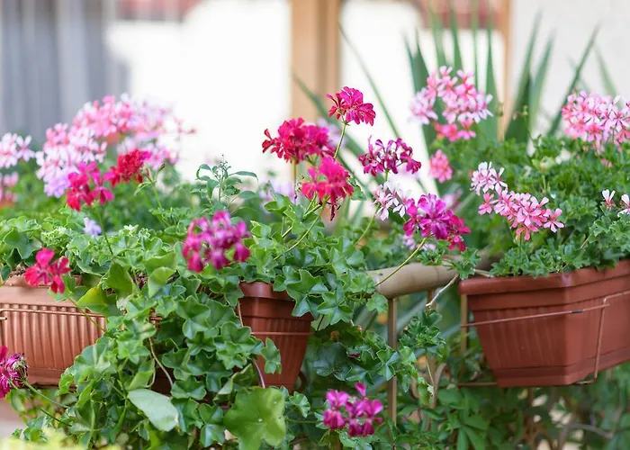 Kirios Ξενοδοχείο 3*